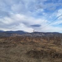 IMG-20241222-WA0072 IMG-20241222-WA0072