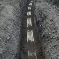 IMG-20241222-WA0106 IMG-20241222-WA0106